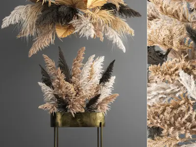 Collection of bouquets of dried flowers pampas Cortaderie reeds