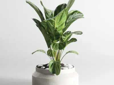 collection Indoor plant 33-concrate-vase Low-poly 3D model