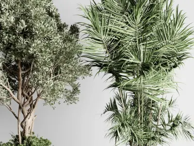 Indoor Plants in kristal - luxury of homes Pot 471 3D model