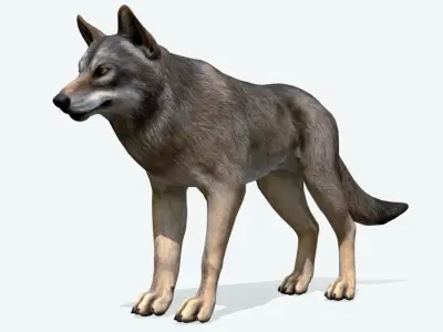 WOLF realistic Low-poly 3D model