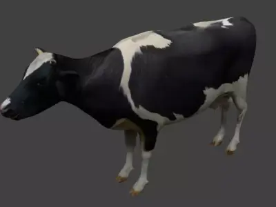 Cattle cow Low-poly 3D model