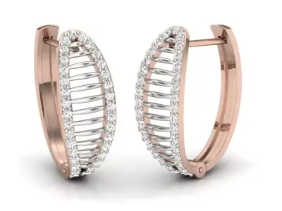 Jewelry Earrings Women 3D print model