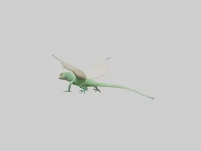 Draco Lizard gliding model Low-poly 3D model
