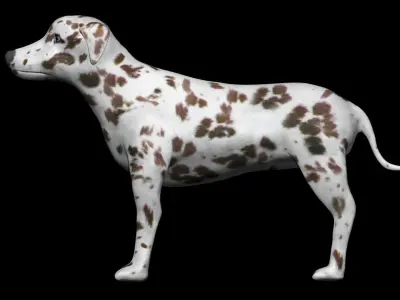 Brown Dalmatian Dog Low-poly 3D model