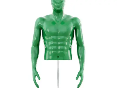 Fitness mannequin torso 169 3D model