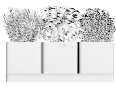 Flower pots with herbs 3D model
