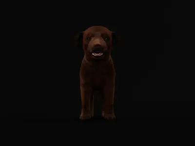 Labrador Retriever Puppy Dog Low-poly 3D model