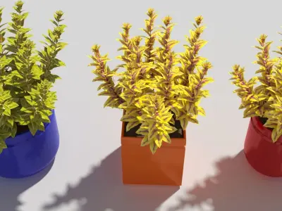 coleus three vases 3D model