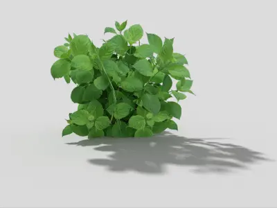 Low poly Plant Low-poly 3D model