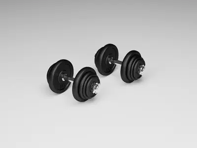 Dumbbells Iron Weights Gym Sport Equipment 3D model