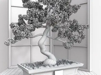 Bonsai set  sakura coniferous deciduous 3D model