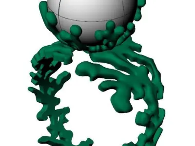 Ring akr 33 3D print model