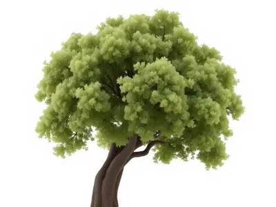 Lush Green Oak model pack Low-poly 3D model