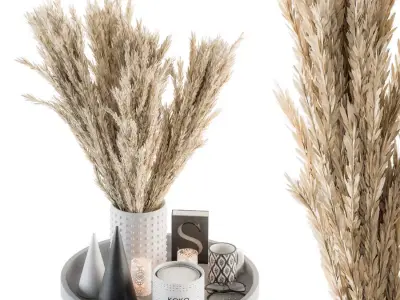 Decorative Set Dried Plants and Pampas - Set 53 3D model