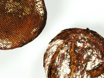 polypasta - bread 01 - rye 3D model