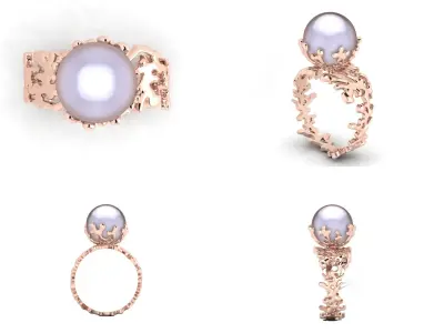 Ring akr 33 3D print model