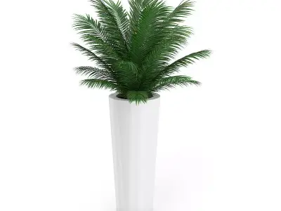 Palm Tree in Round Pot 4 3D model
