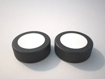 Puck sportball 3D model