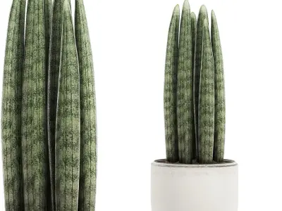 Decorative palm in a white flowerpot 520 3D model