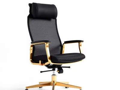 Luxury Black Office Chair model pack Low-poly 3D model