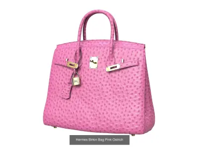 Hermes Birkin Bag  3D Model Pack