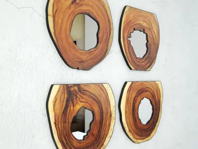 Organic Monkey Pod Mirrors 1 3D model