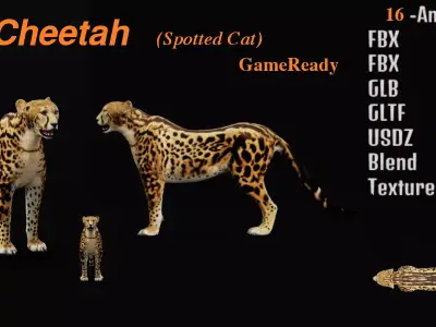 King Cheetah 3D model