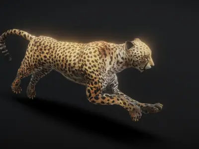 Leopard with skeleton animation Low-poly 3D model