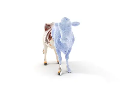 Dairy Cow D Model Pack with HighQuality Textures Low-poly 3D model