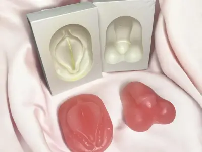 Kit Mold anatomy penis and vagina 3D print model