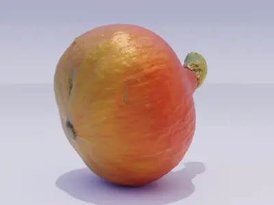 Ultra-realistic pumpkin high-poly 3D model