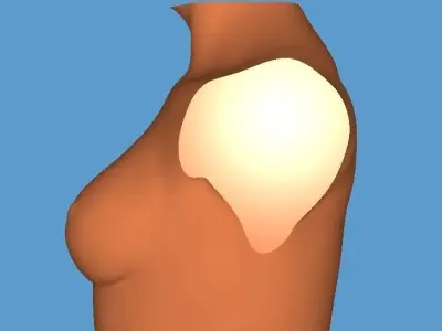 MakeIT Female Bust 3 Piece Top Body Base 3D Model  3D model