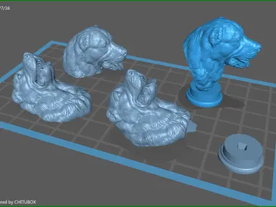 Central Asian Shepherd Dog Alabai bust 3D print model