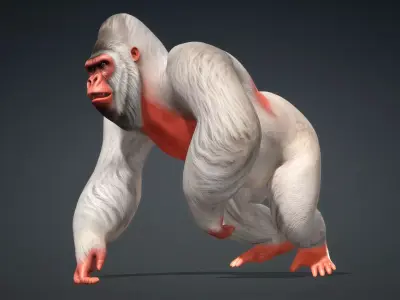 Gorilla-A2 3D model