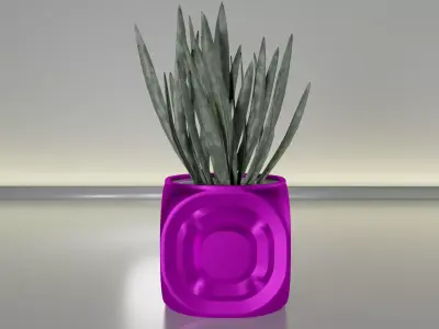 succulent plant pot 20 3D print model
