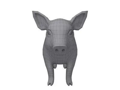 Cartoon Pig 3D model