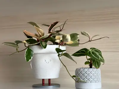 3D Printed Standing Smiley Pot 3D print model