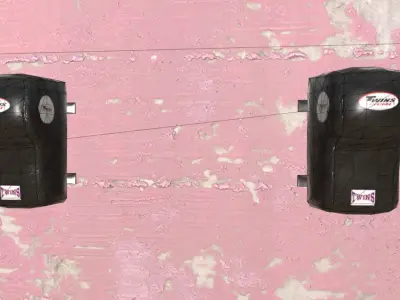 Cushion pair of airbags on wall 3D model