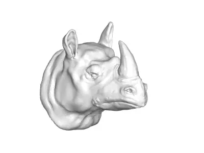 Rhino head 3D model