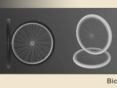 10 Varied Tire and Rim Sets  3D model