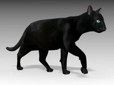 Black Cat Animated Low-poly 3D model