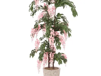 Elegant Cascading Pink Blossom tree 3D model
