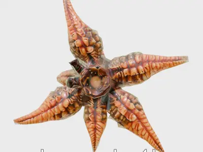 Sunflower Star Marine Creature Model with Detailed Texture Low-poly 3D model