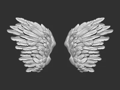 Wings 3D print model