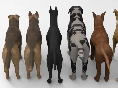 6 Dog Pack - Rigged Low-poly 3D model