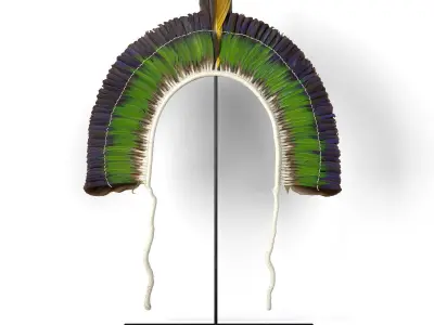 20th Century Brazilian Tribal Feather Headdress 3D model