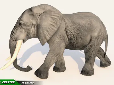 Elephant Animated Lowpoly Low-poly 3D model