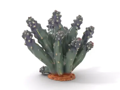 Purple Spiked Cactus model pack Low-poly 3D model