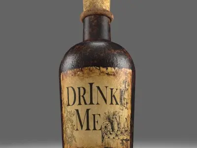 Decorative Bottle 3D model