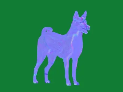 Basenji Dog 3D model